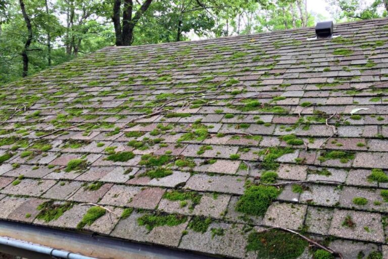 Algaeresistant And Algaeretardant Roofing Shingles Algaeresistant