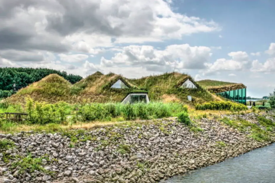 brown roofs vs green roofs