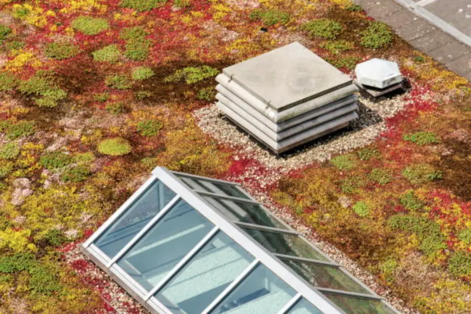 green roof from flat roof