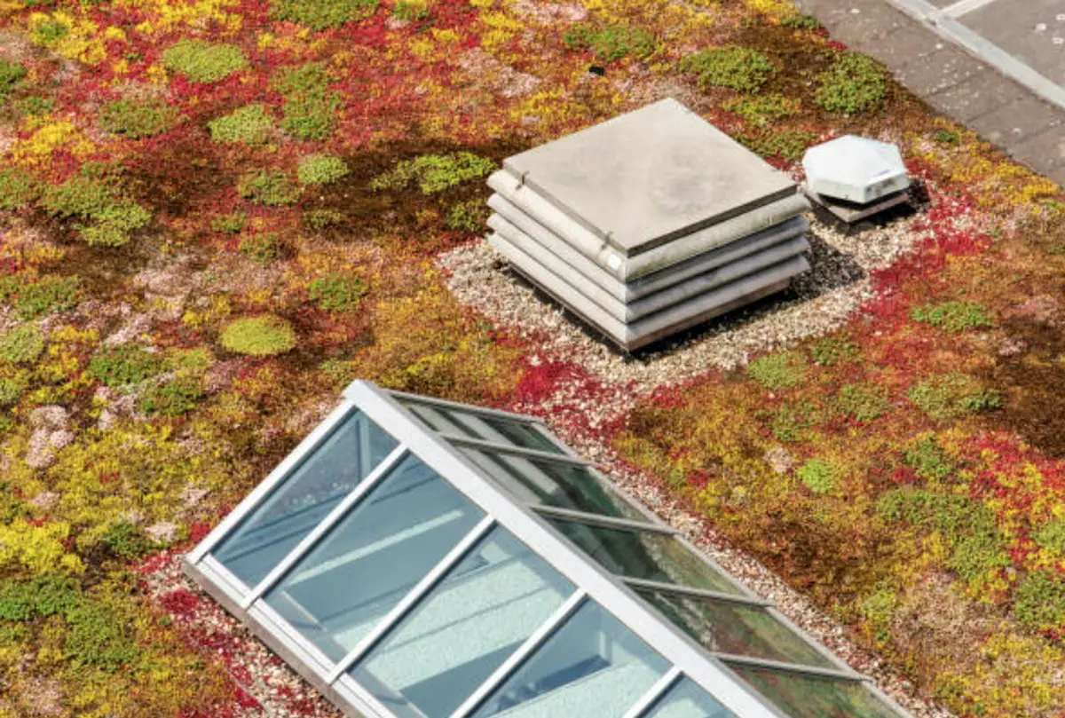 green roof from flat roof