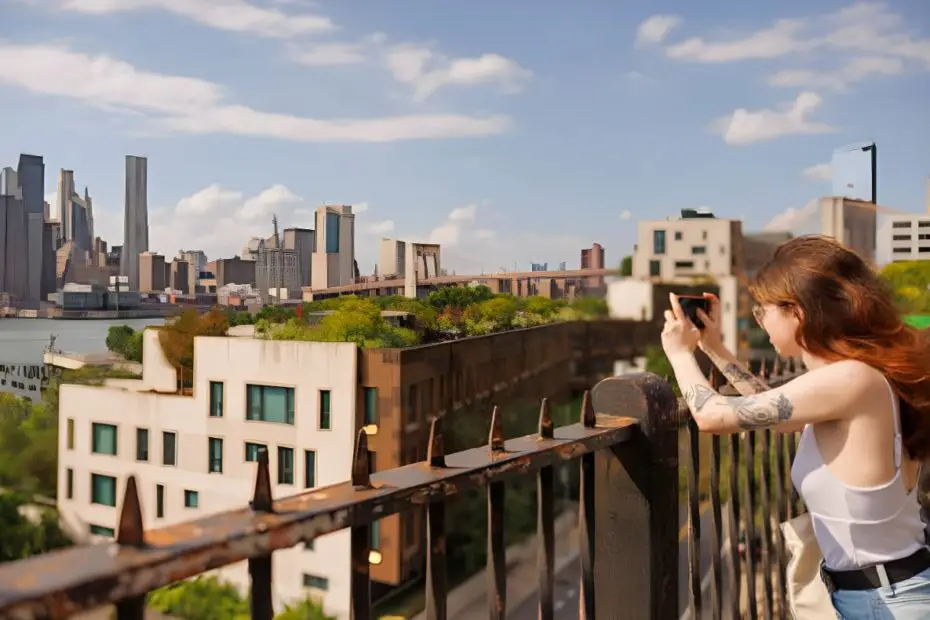 green roof view
