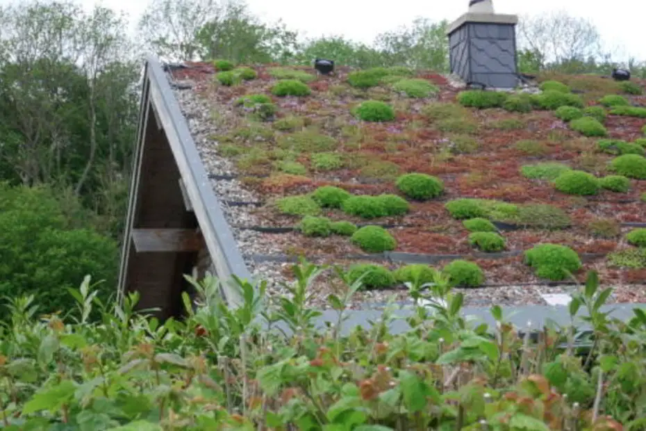 green roofs and living roofs