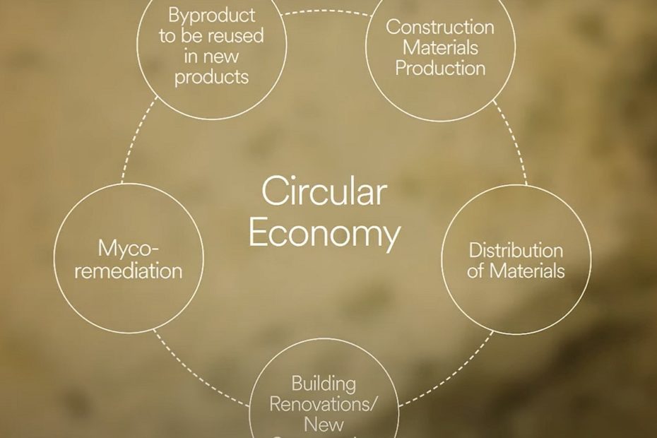 mycocycle