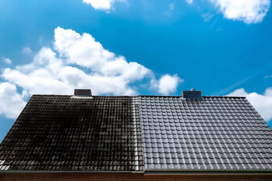 roof cleaning