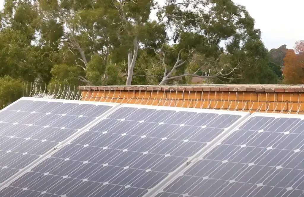 bird spikes installed on a roof with photovoltaic panels